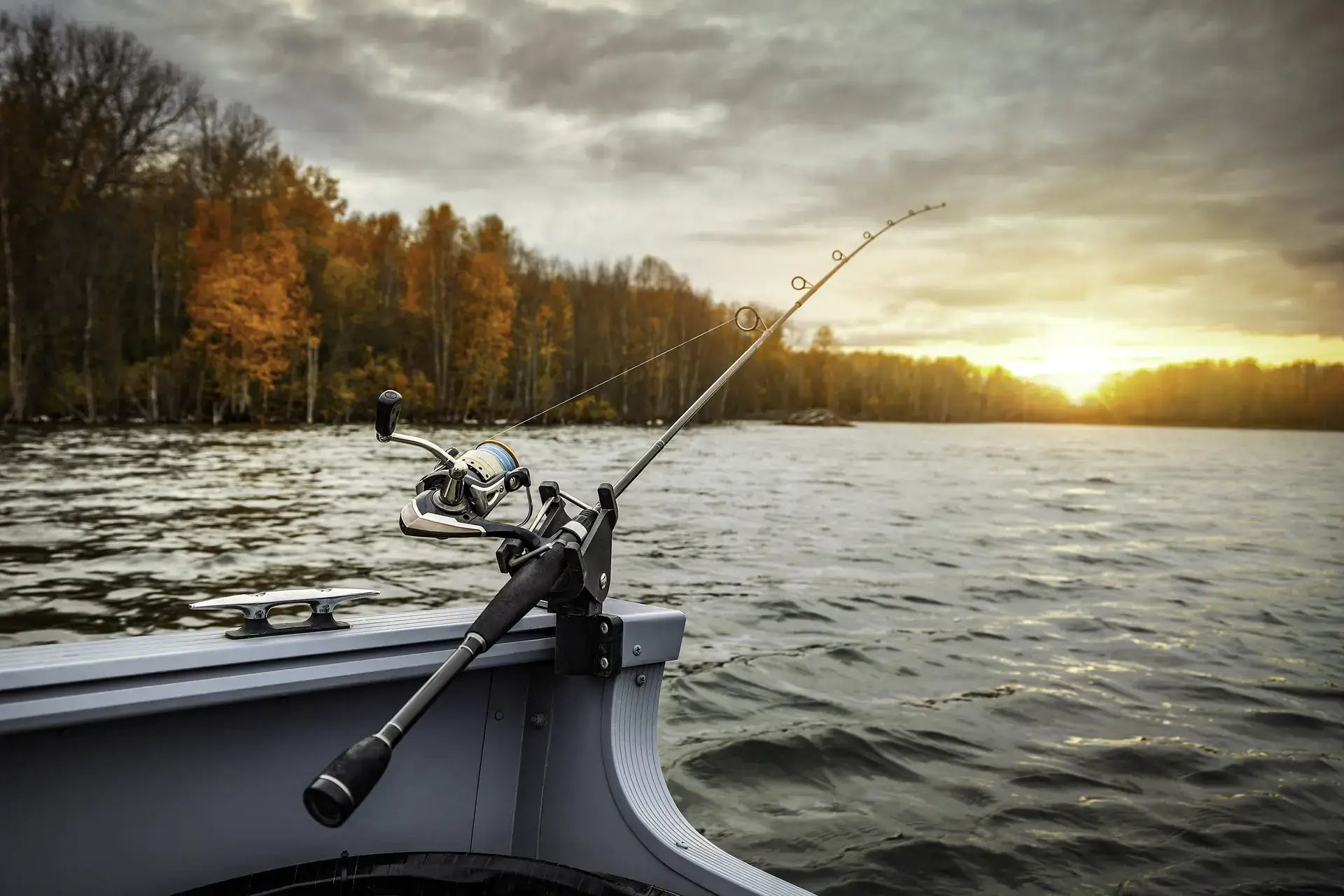 The Best Fishing Lakes in Essex: A Paradise for Anglers